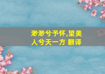 渺渺兮予怀,望美人兮天一方 翻译